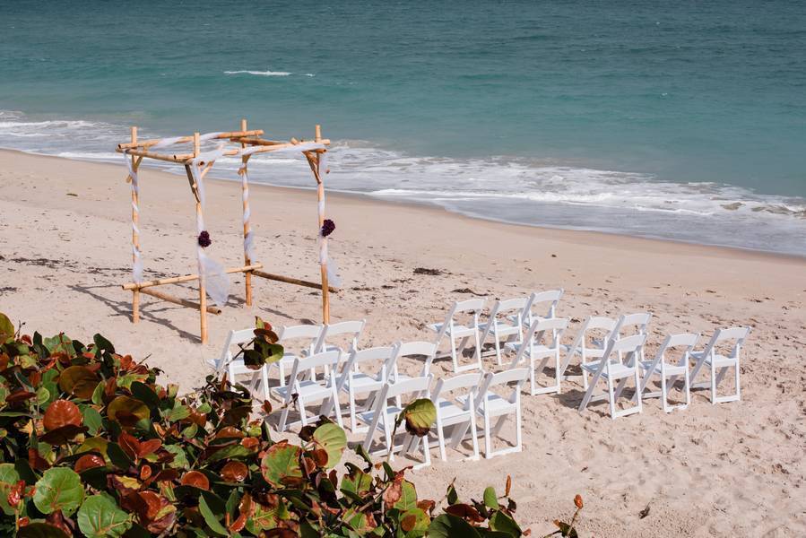 Beach Balls and Sea Shells