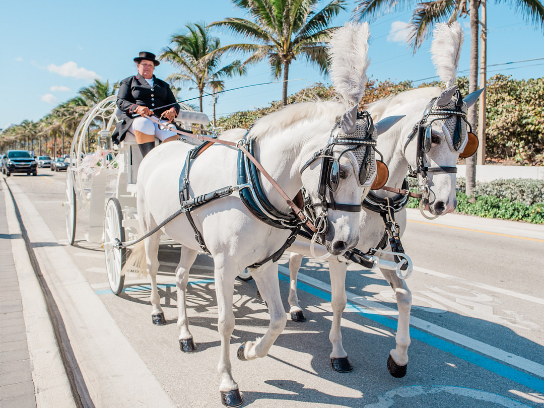 Leap Day Beach Wedding in Fort Lauderdale — photo 12