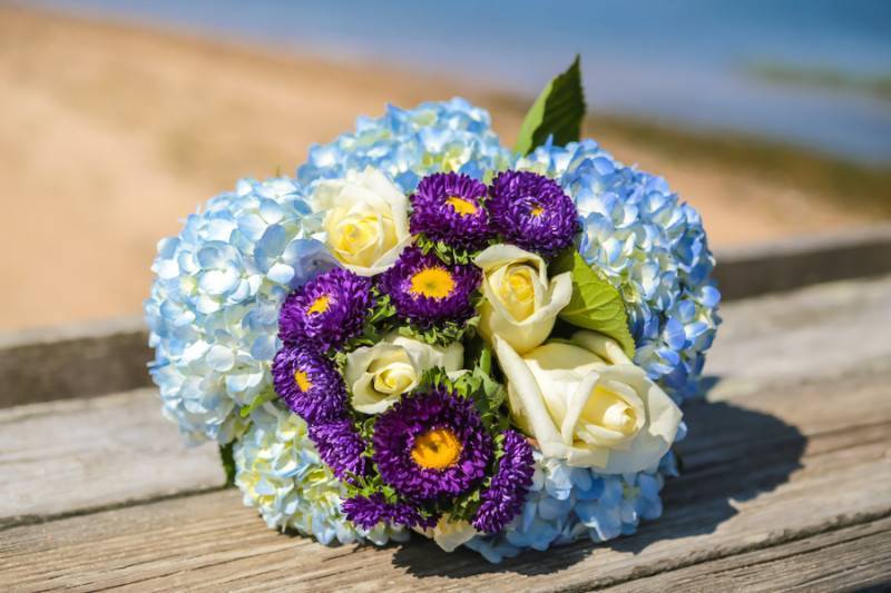 A Lovely Cause, a Beautiful Beginning — photo 1