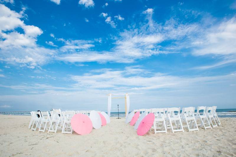 Nicole & Daniel - Simple Romantics  — photo 11