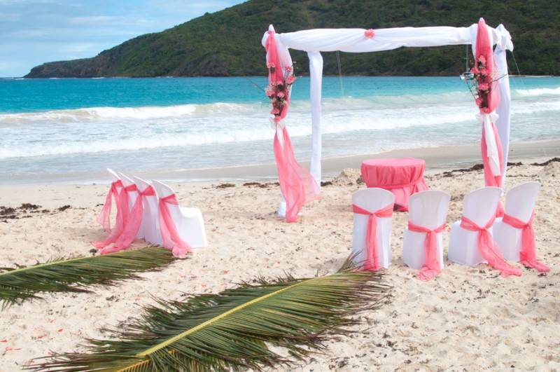 Our Love And The Tropics — photo 1