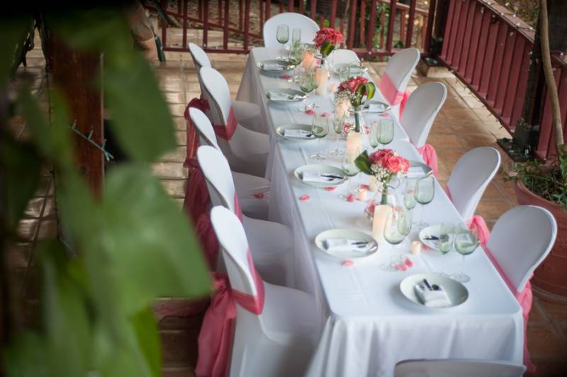 Our Love And The Tropics — photo 2