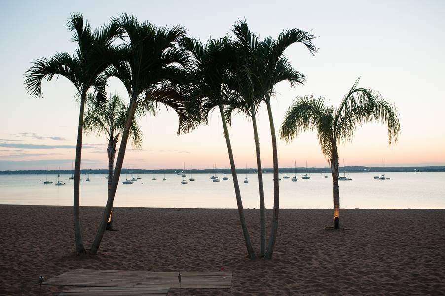 Palm Trees and Sunset