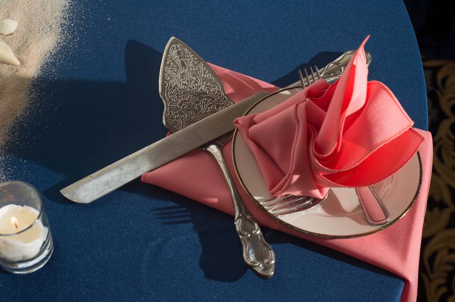 Pink and Navy Nautical Beach Wedding — photo 20