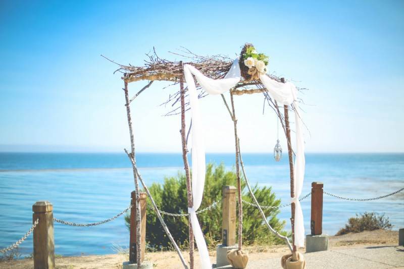 Polaroid Memoirs — photo 4